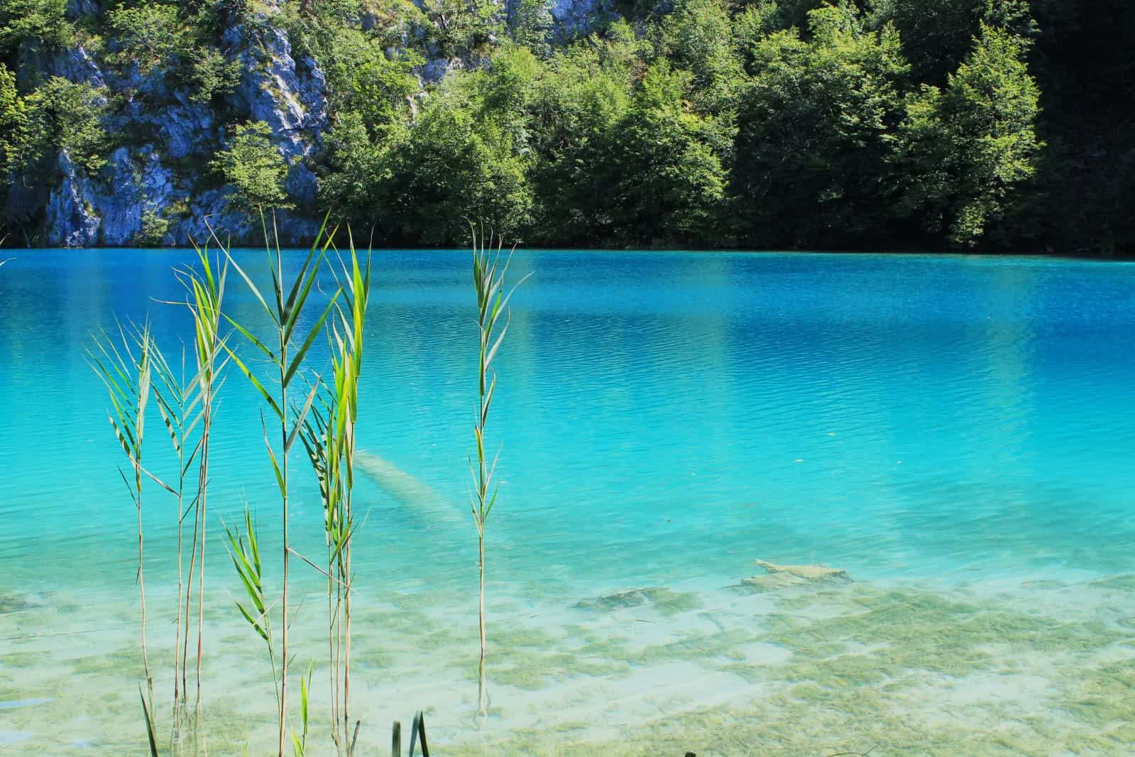 Turquoise coloured lake at Plitvice Lakes in Croatia, with trees and cliff in the background