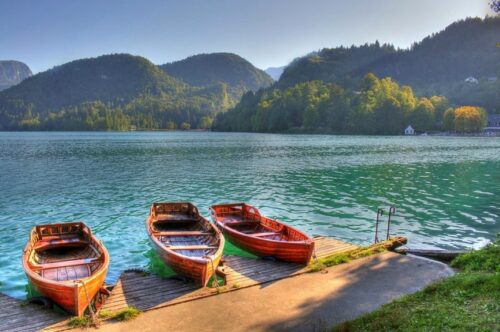 rowing boats lake bled