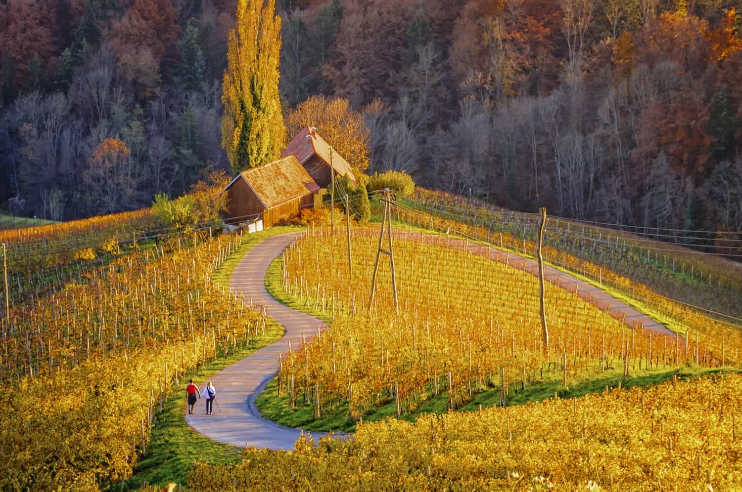 Maribor heart road in Slovenia