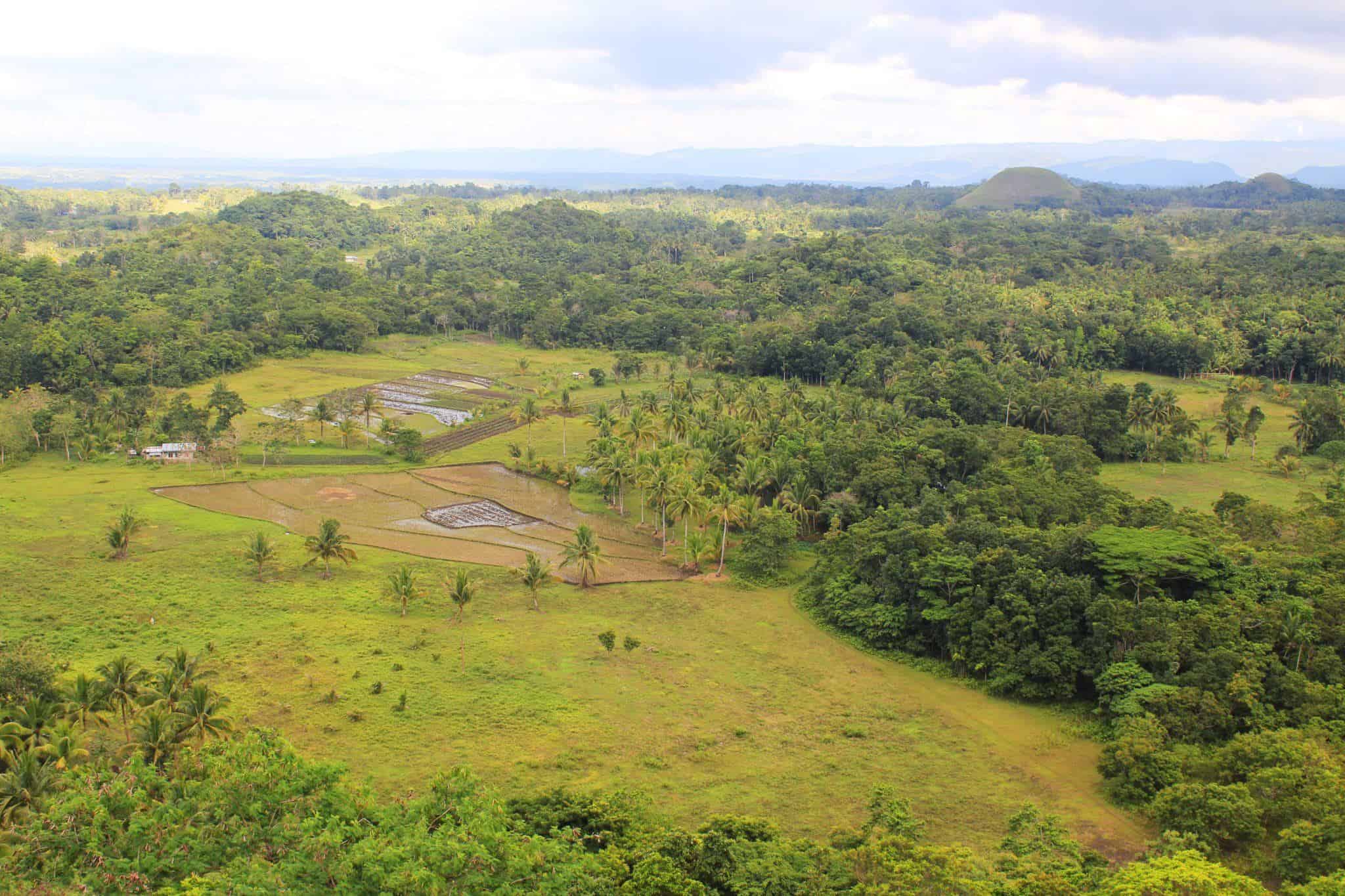 chocolate hills bohol