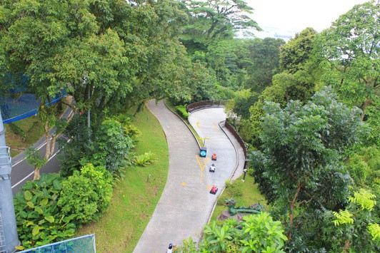 sentosa island luge