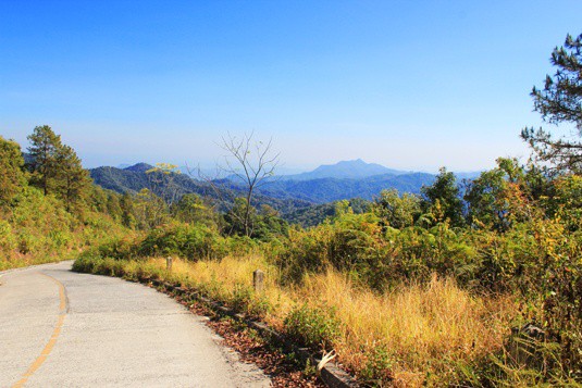 road to chiang mai