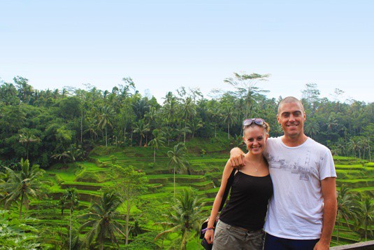 rice paddies in balinese countryside