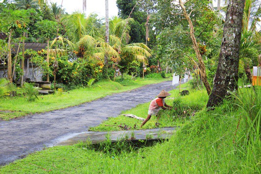 balinese family compound ubud