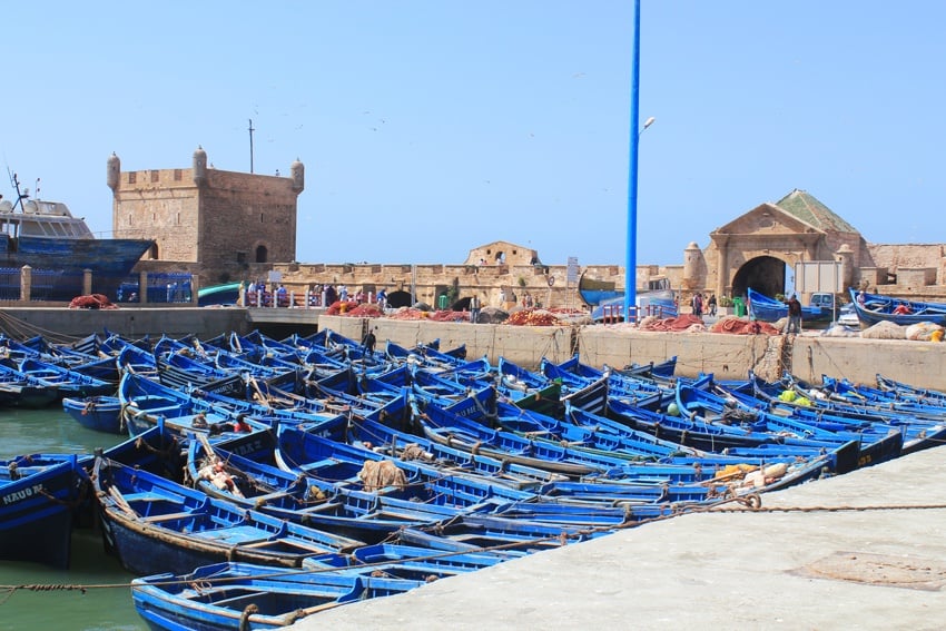 blue boats port essaouira