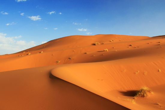 Sahara desert sand dunes