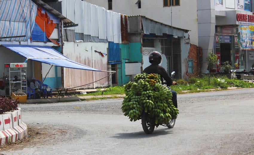 bananas on a scooter vietnam