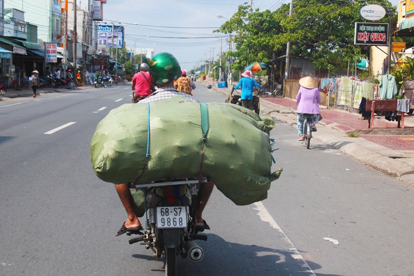 vegetables on a scooter