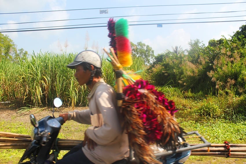 feather dusters on a scooter