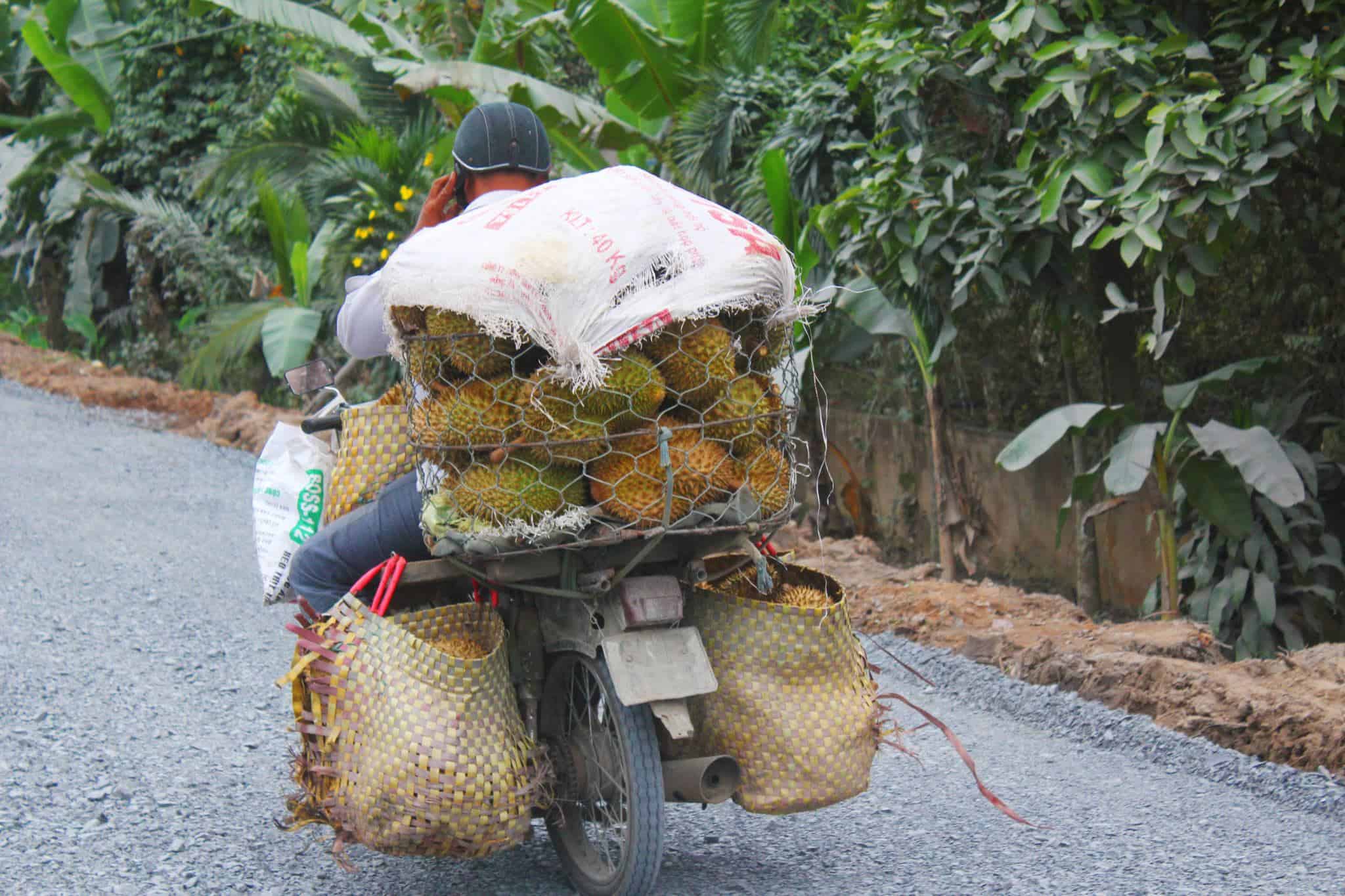 durians on a scooter