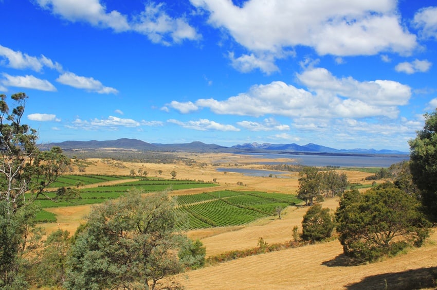 Tasmanian countryside 