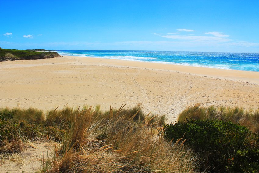 Secluded beach in Tasmania Secluded beach in Tasmania