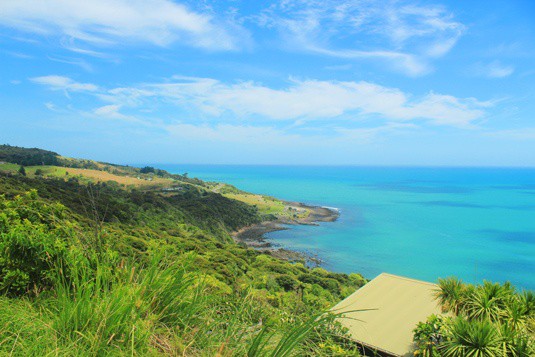 Raglan ocean