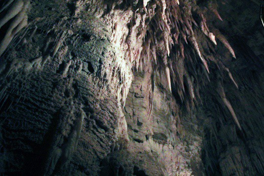 Waitomo glowworm cave tour