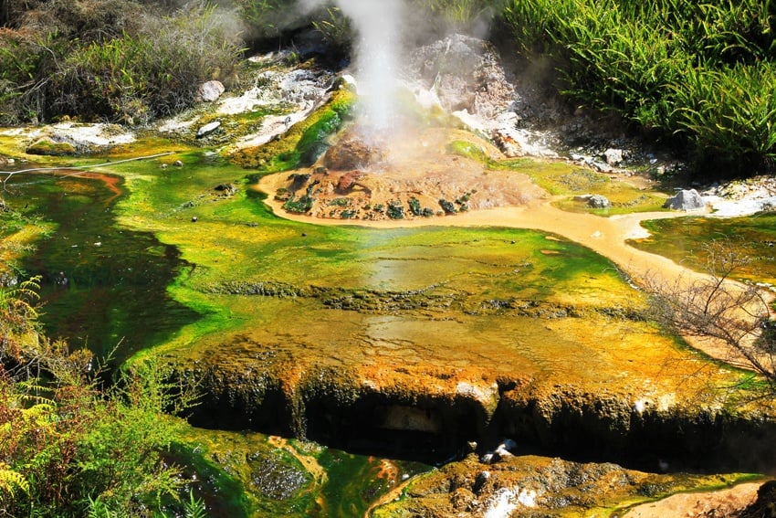 Crazy colours and geysers at Rotorua