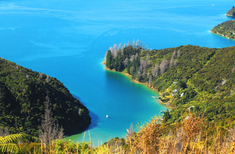 The Queen Charlotte Track, New Zealand