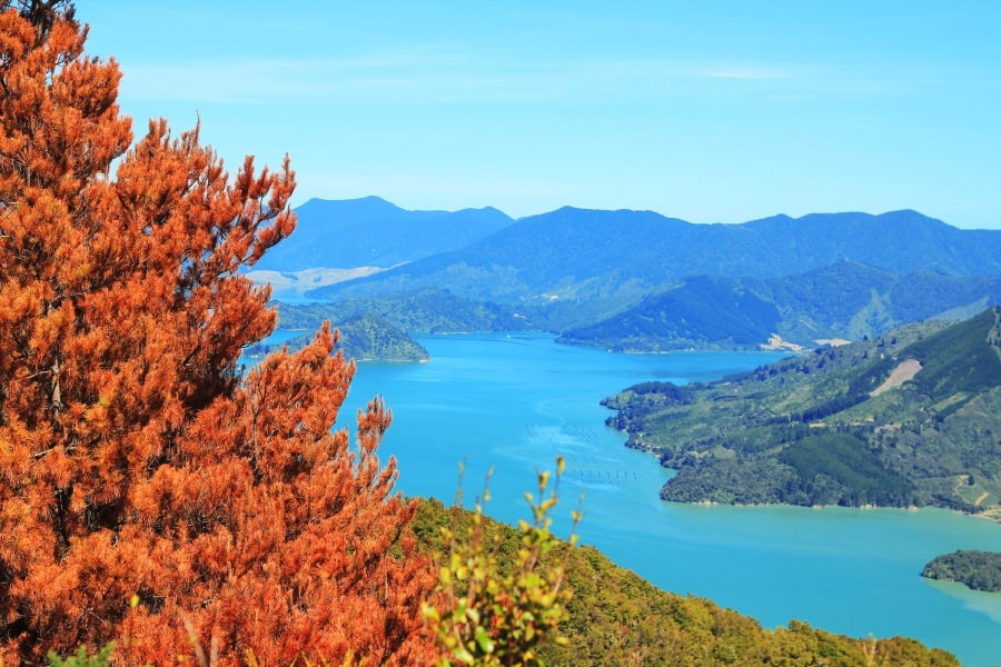 The Queen Charlotte Track, New Zealand