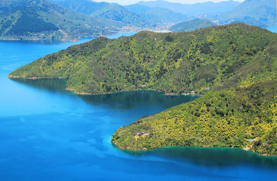 The Queen Charlotte Track, New Zealand