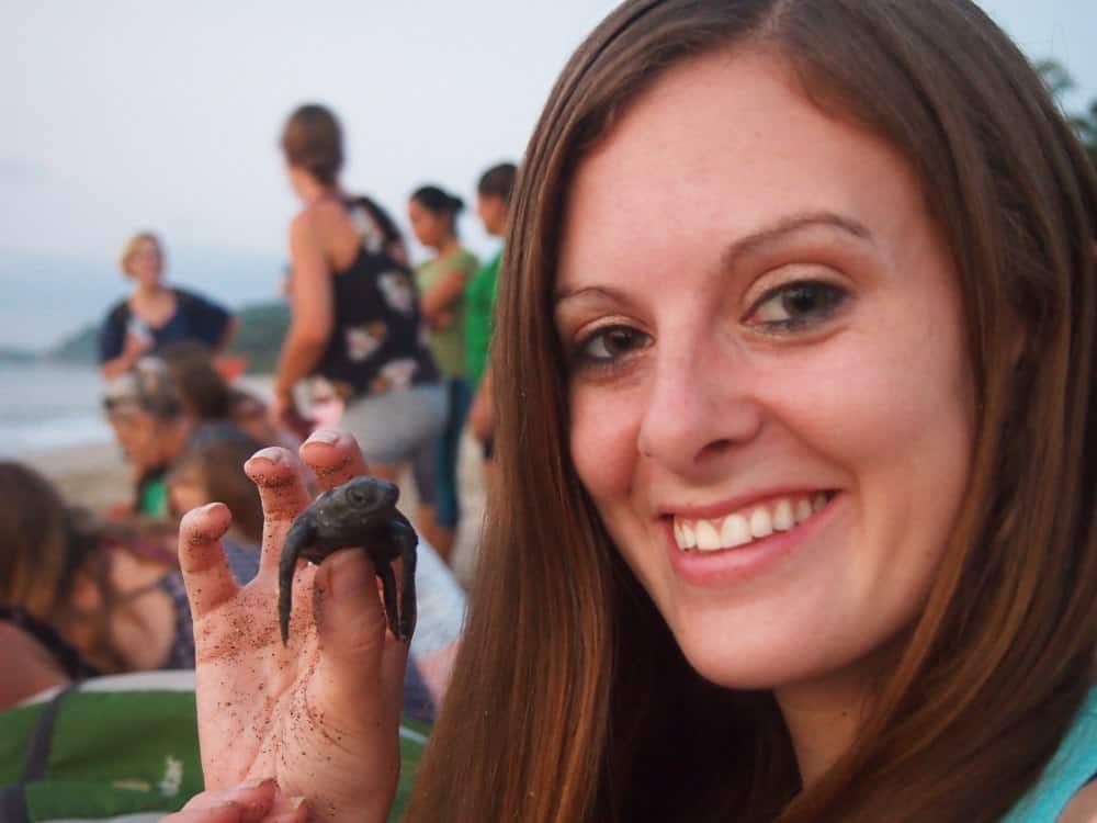 Releasing baby sea turtles into the ocean