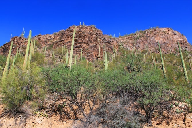 Sabino Canyon Sabino Canyon