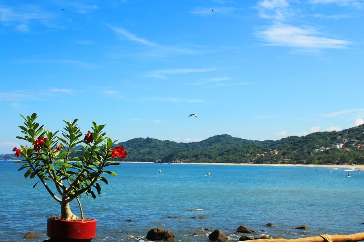 Views of Sayulita