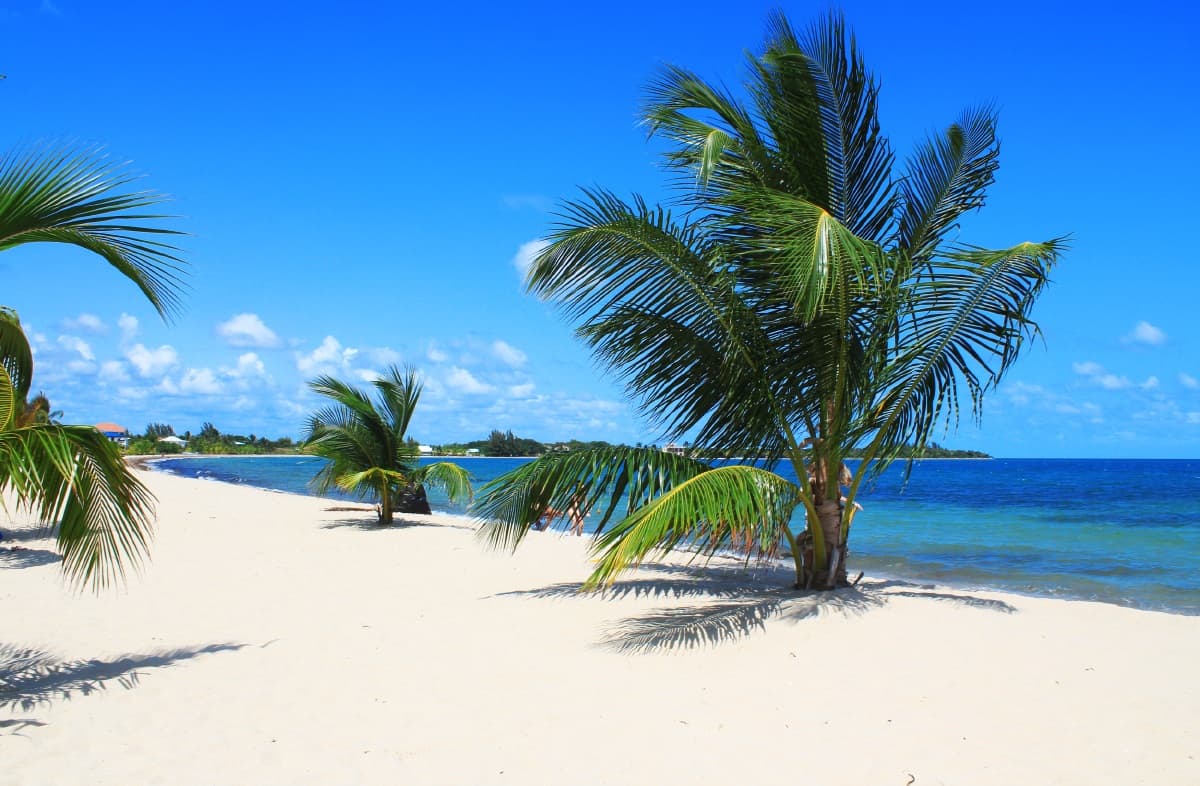 The Beach in Placencia