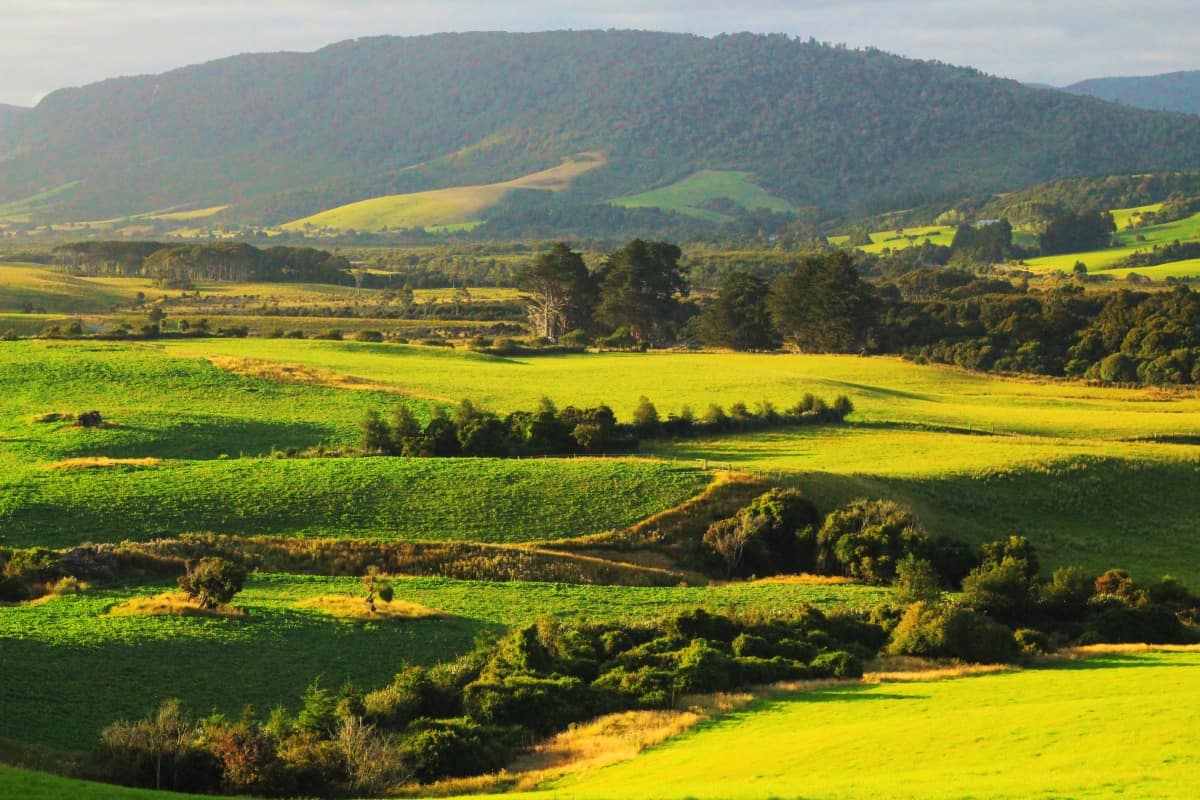 The Catlins, New Zealand