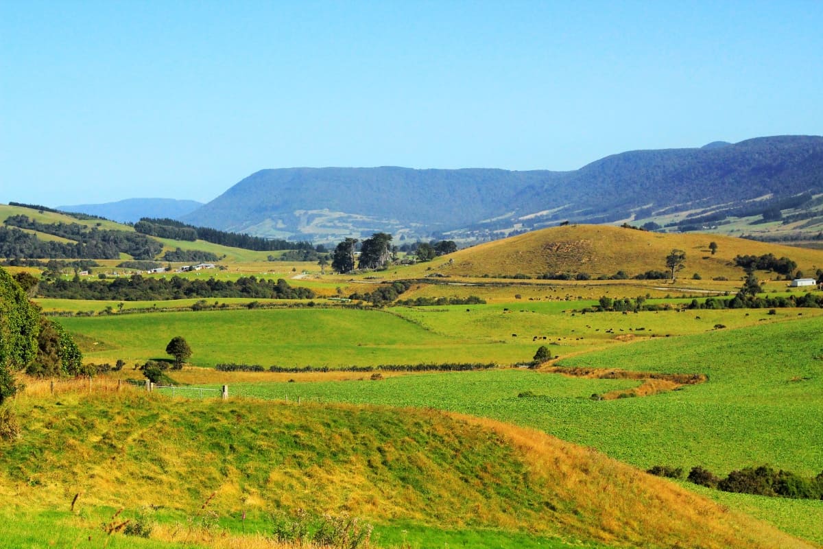 The Catlins, New Zealand