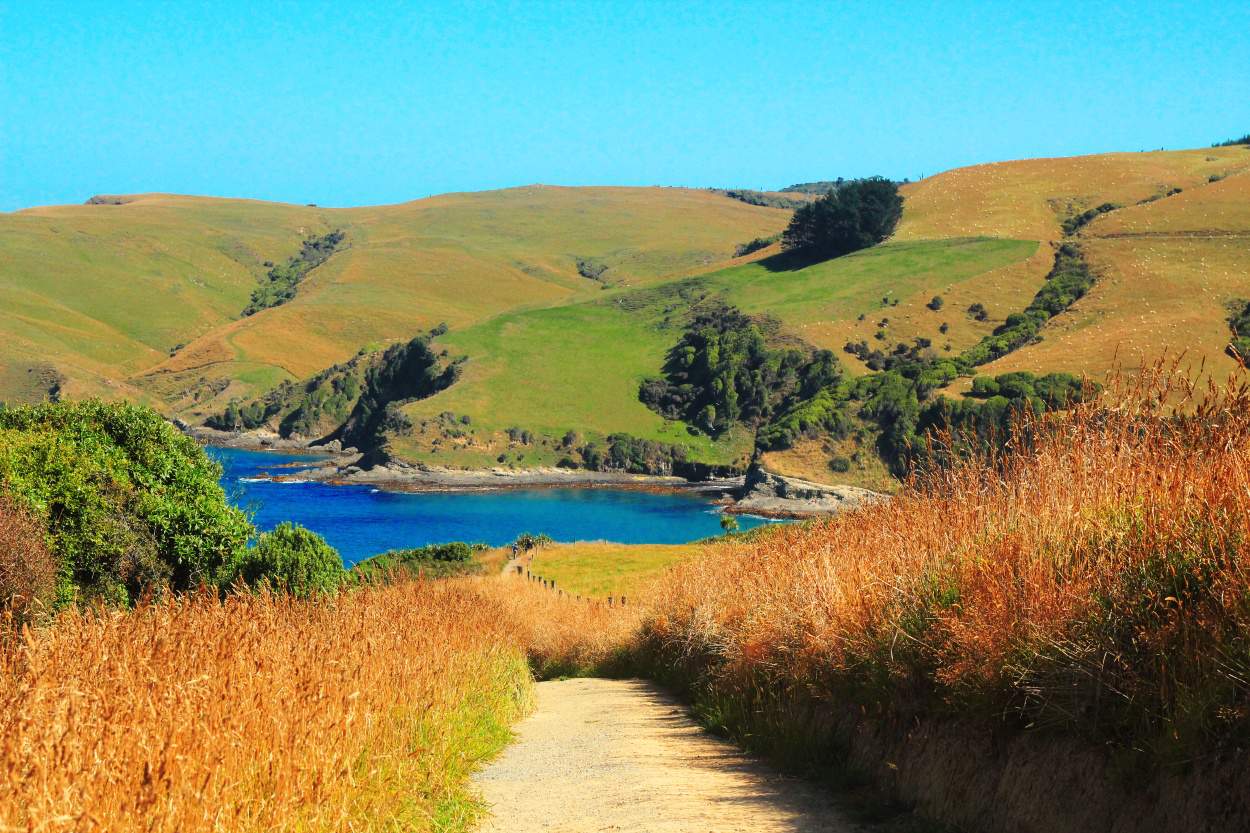 The Catlins, New Zealand