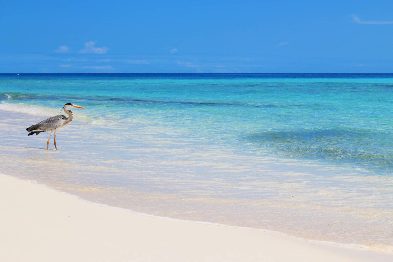 Bikini Beach, Fulidhoo