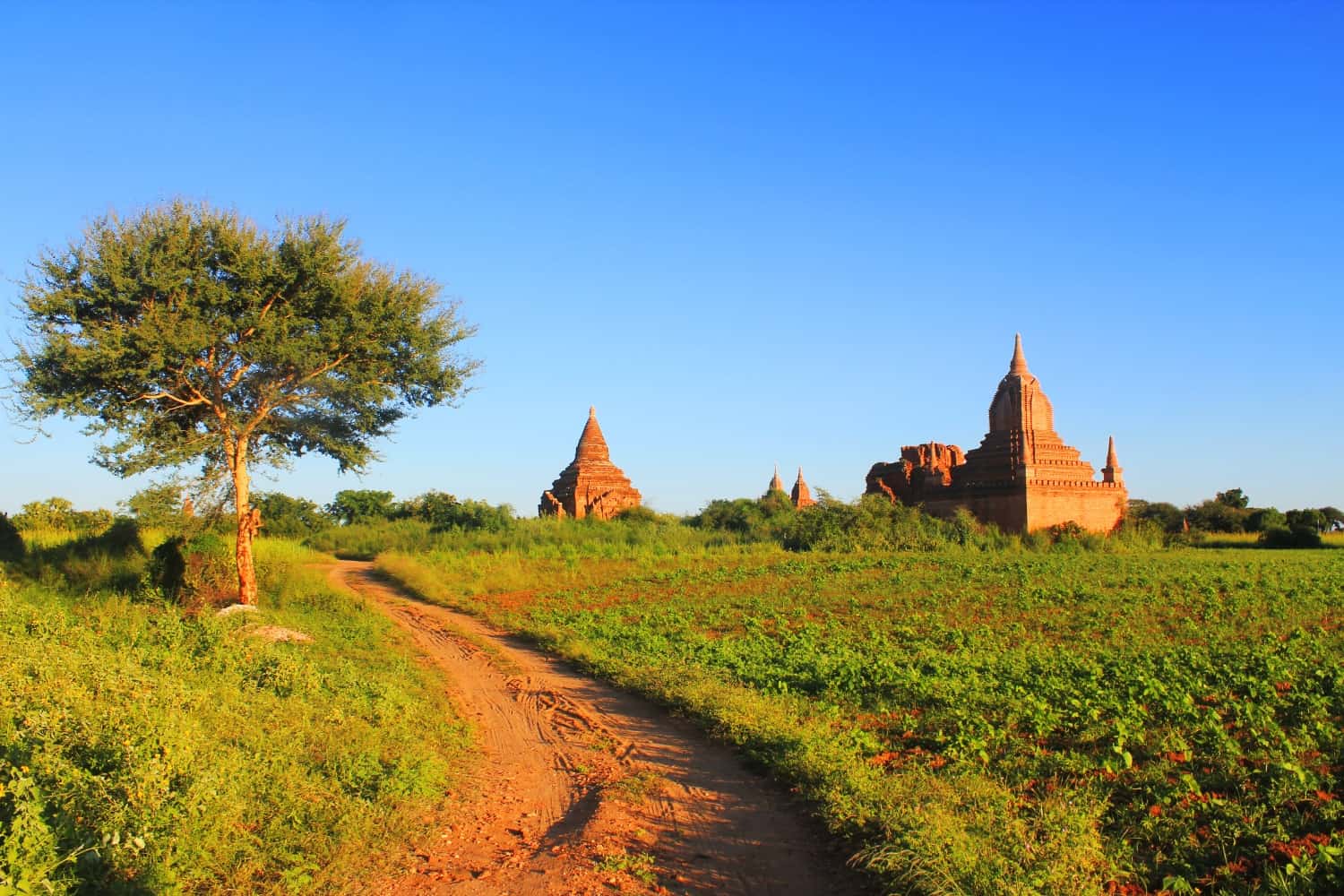 bagan dirt track