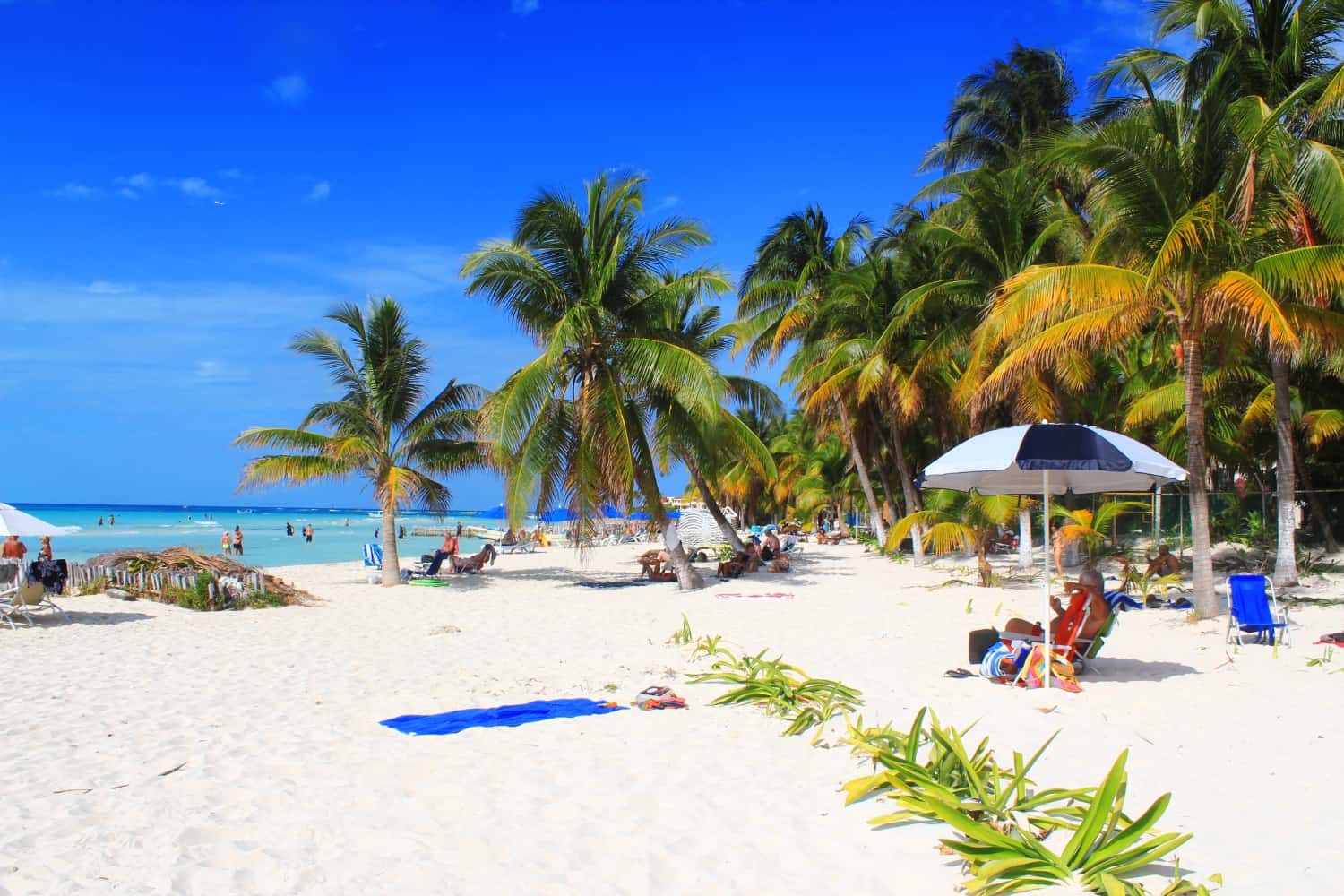 Beach in Isla Mujeres