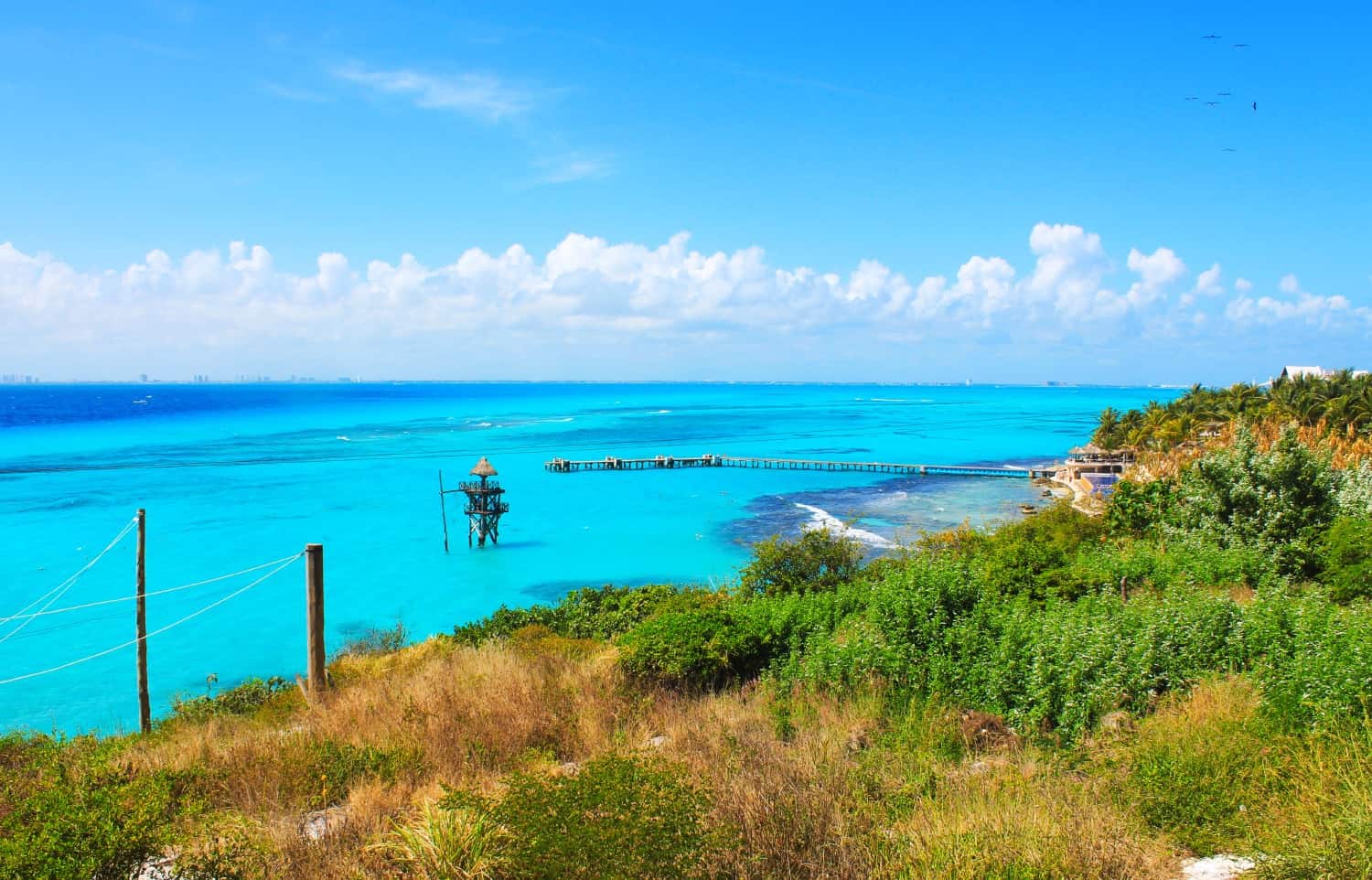 View over the ocean in Isla Mujeres, with a wooden jetty extending out from the land and grass and trees visible on the shoreline.