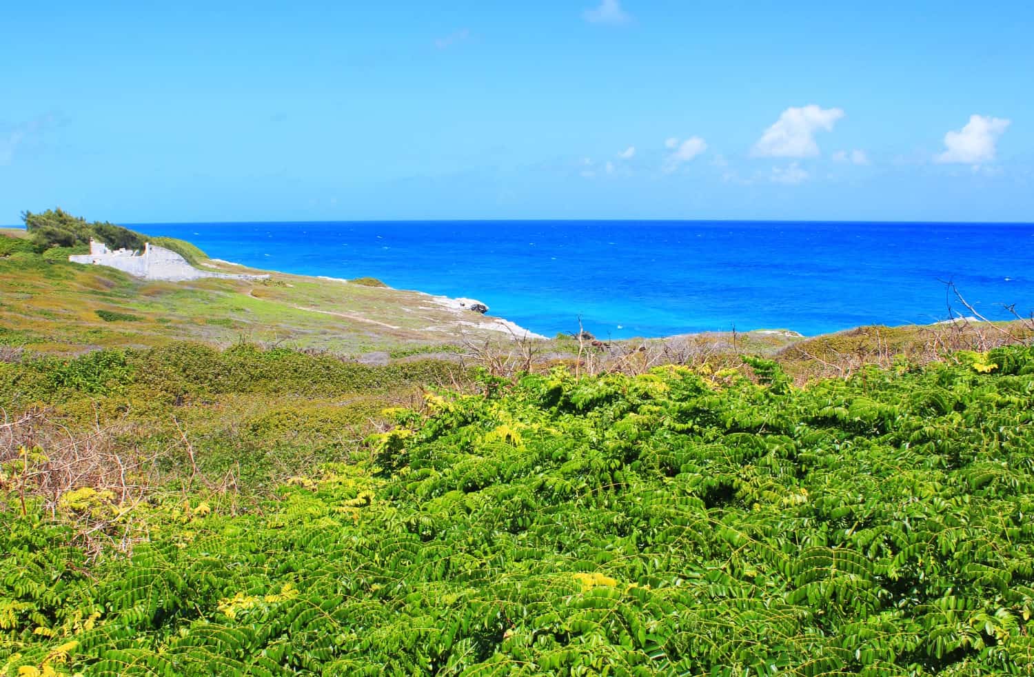 Isla Mujeres views