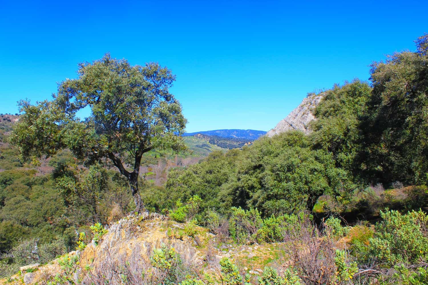 Ronda Hike