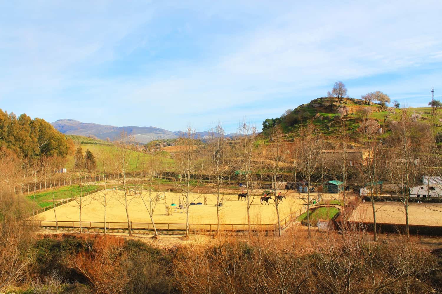 Ronda horses