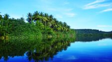 Jungle reflections in Tatai, Cambodia