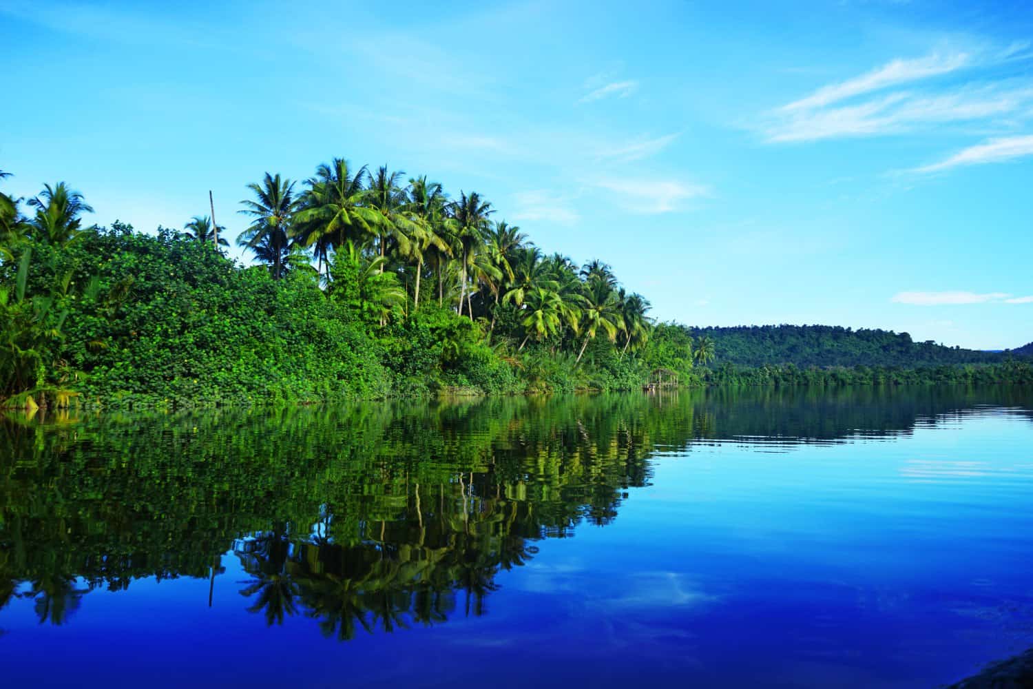 Jungle reflections in Tatai, Cambodia