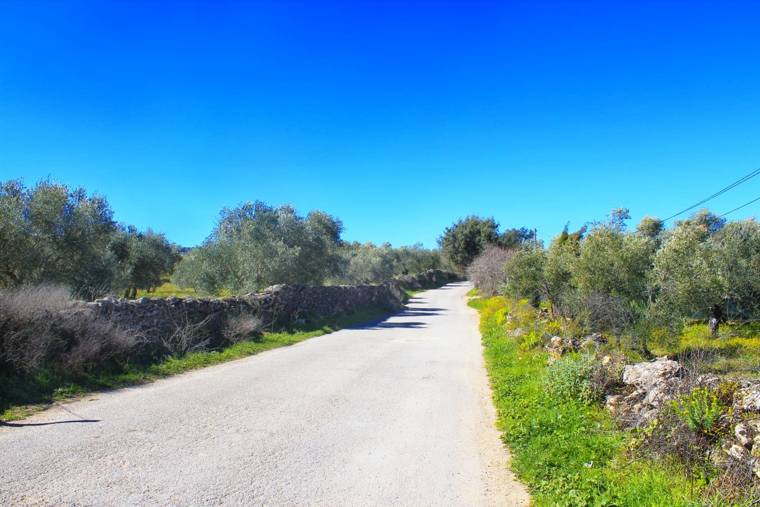 hiking in Ronda