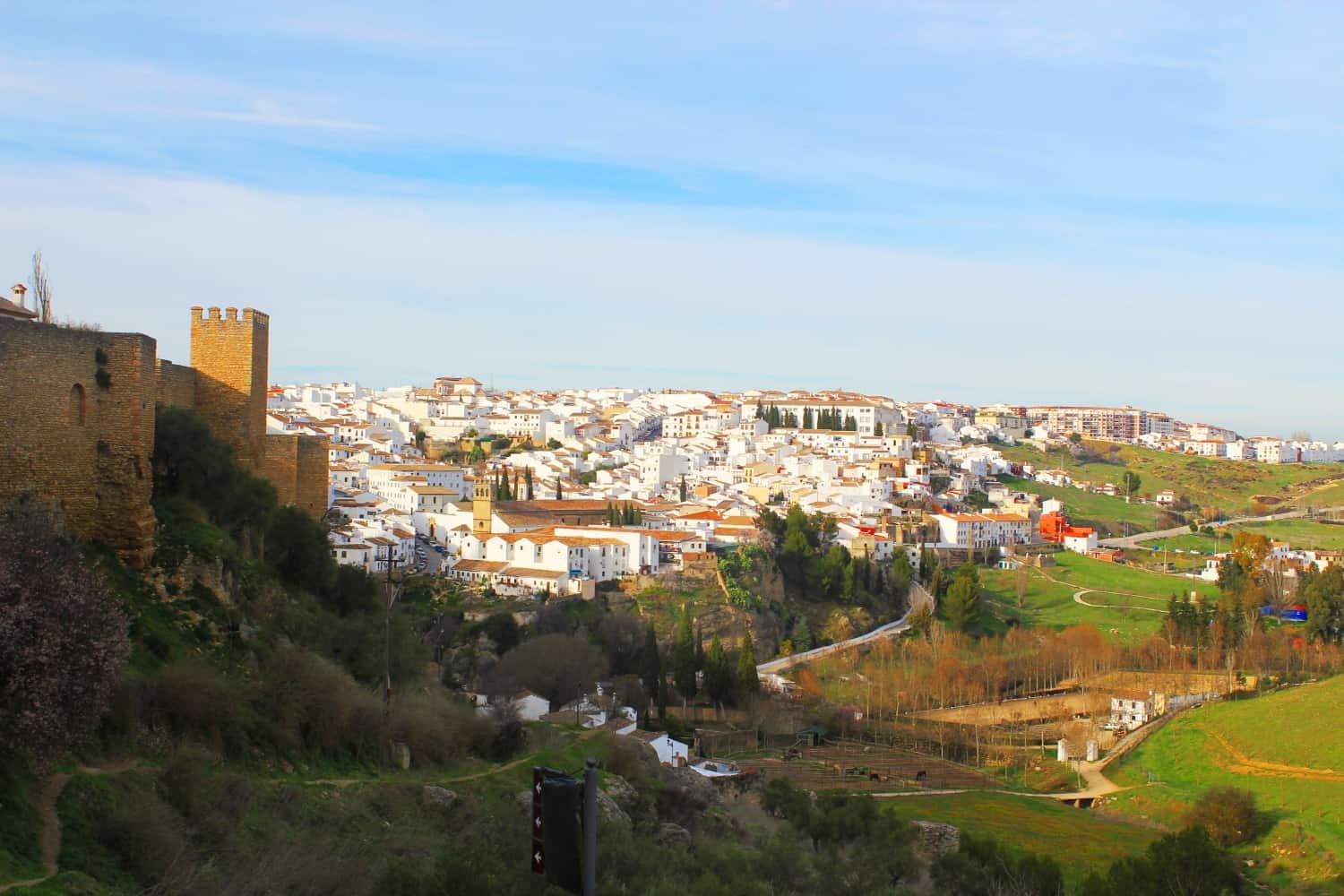 ronda from afar