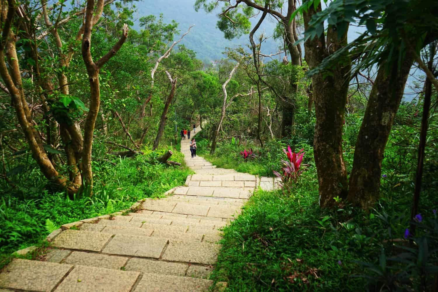 Hiking in Taipei