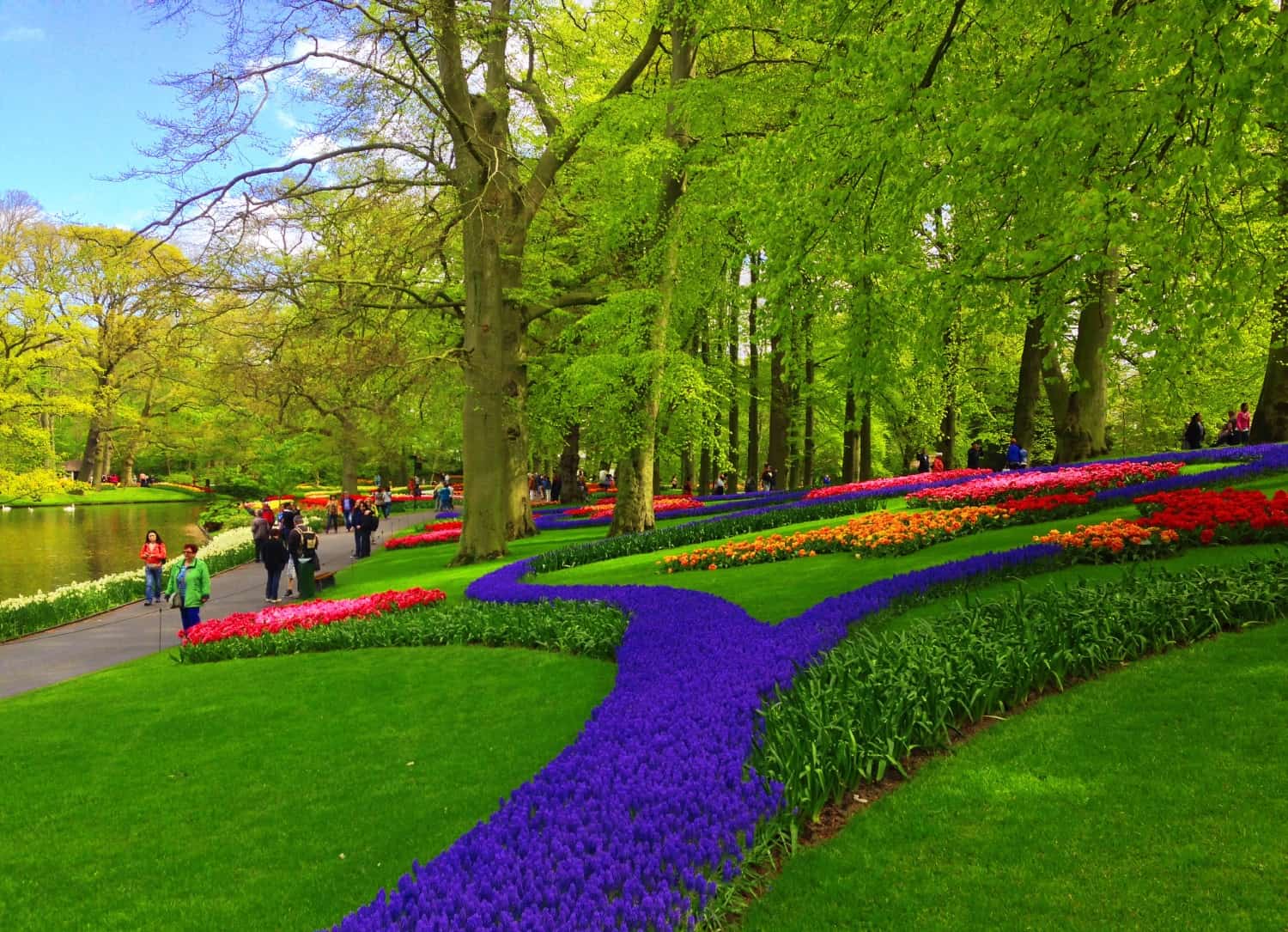 Keukenhof tulip gardens