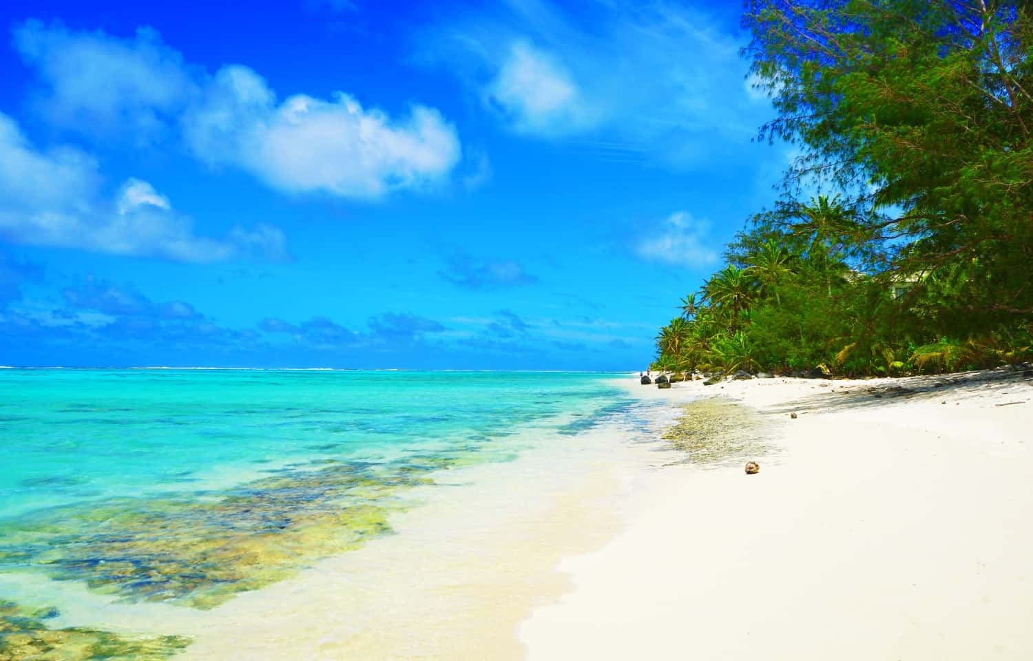 Muri Lagoon in Rarotonga, the Cook Islands!