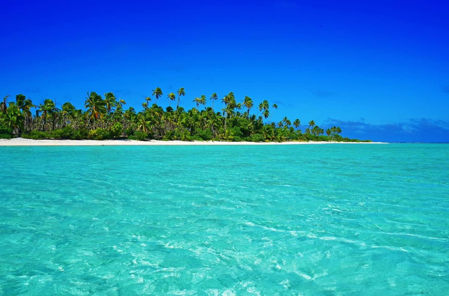 Paradise Places on EARTH