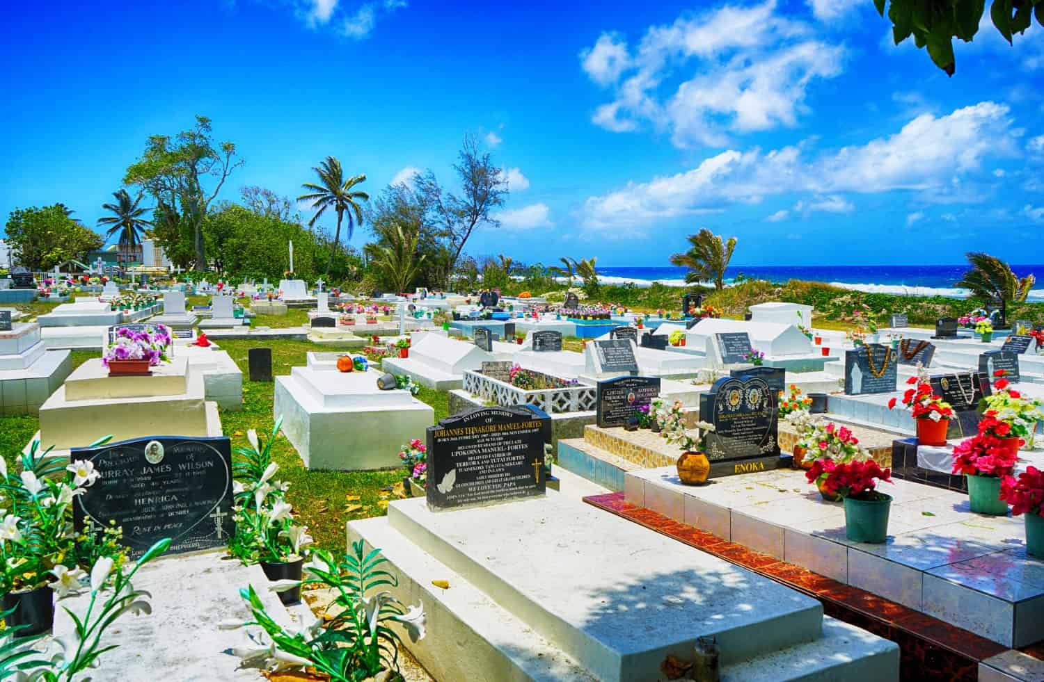 Rarotonga cemetary