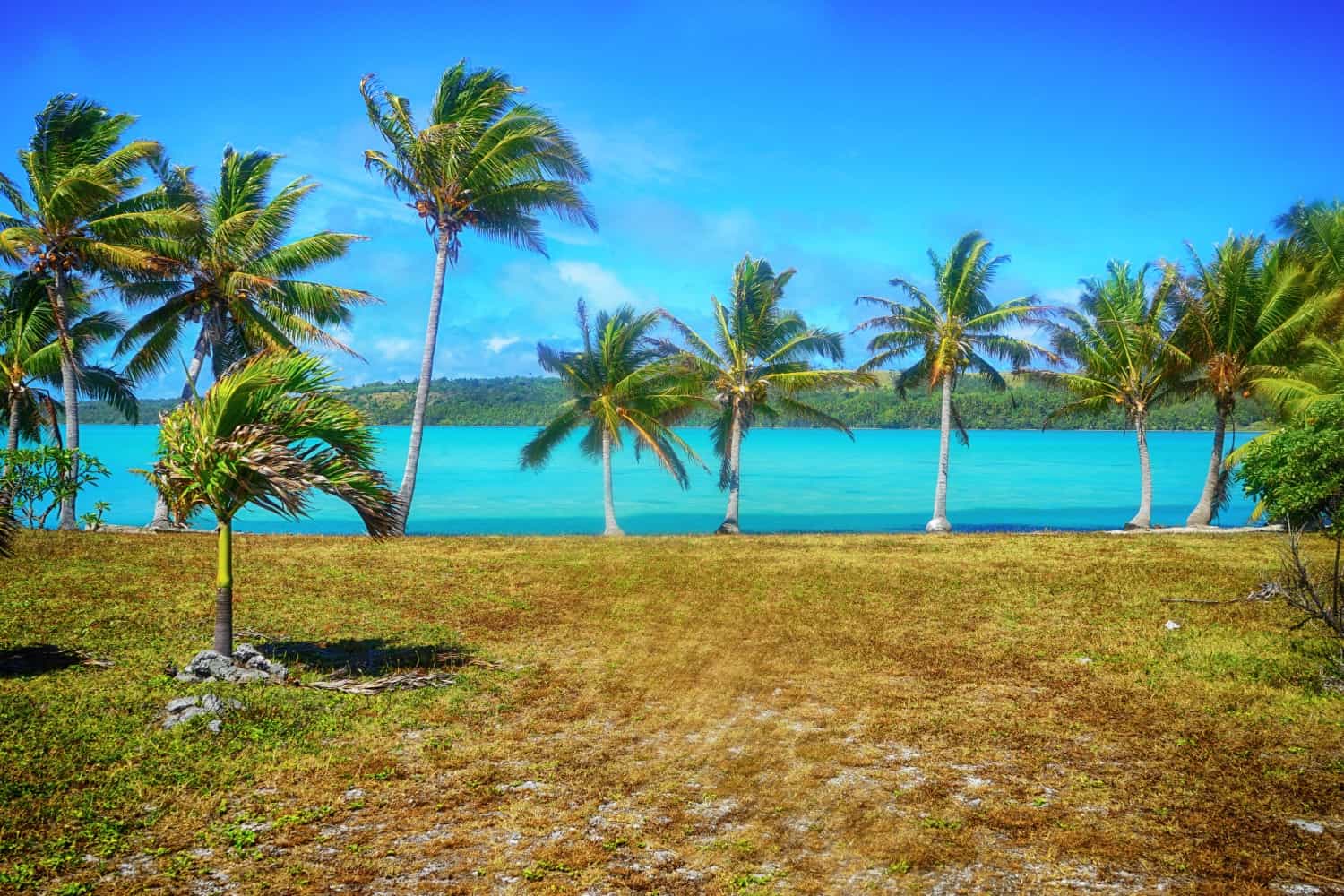 Lagoon views from Aitutaki