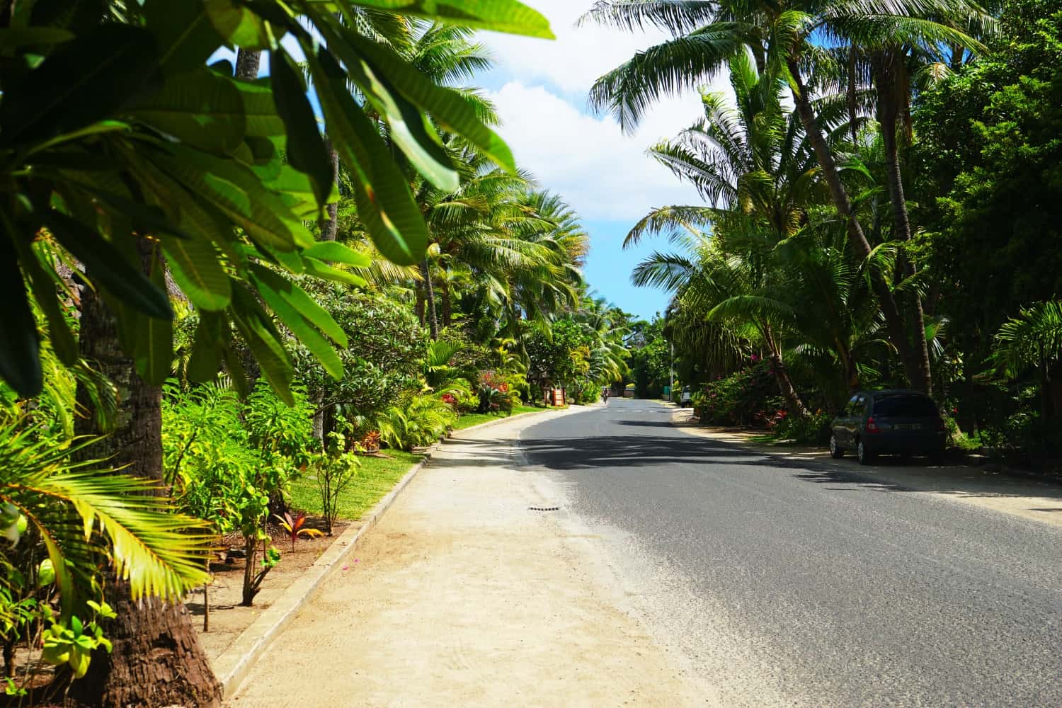 A jungly road in Bora Bora.