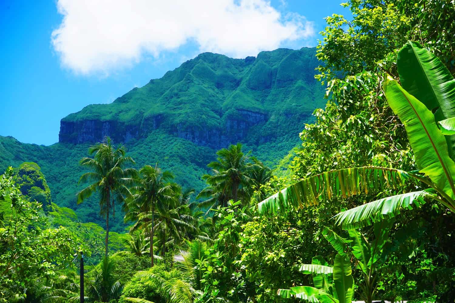 Mountains and jungle on Huahine