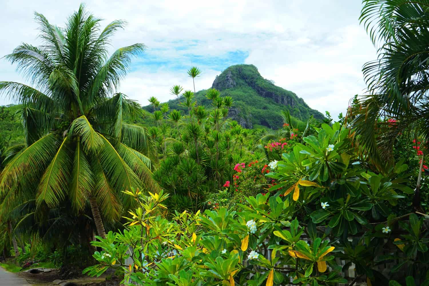 Palm trees, flowers, jungle, and a volcano: Maupiti had it all!