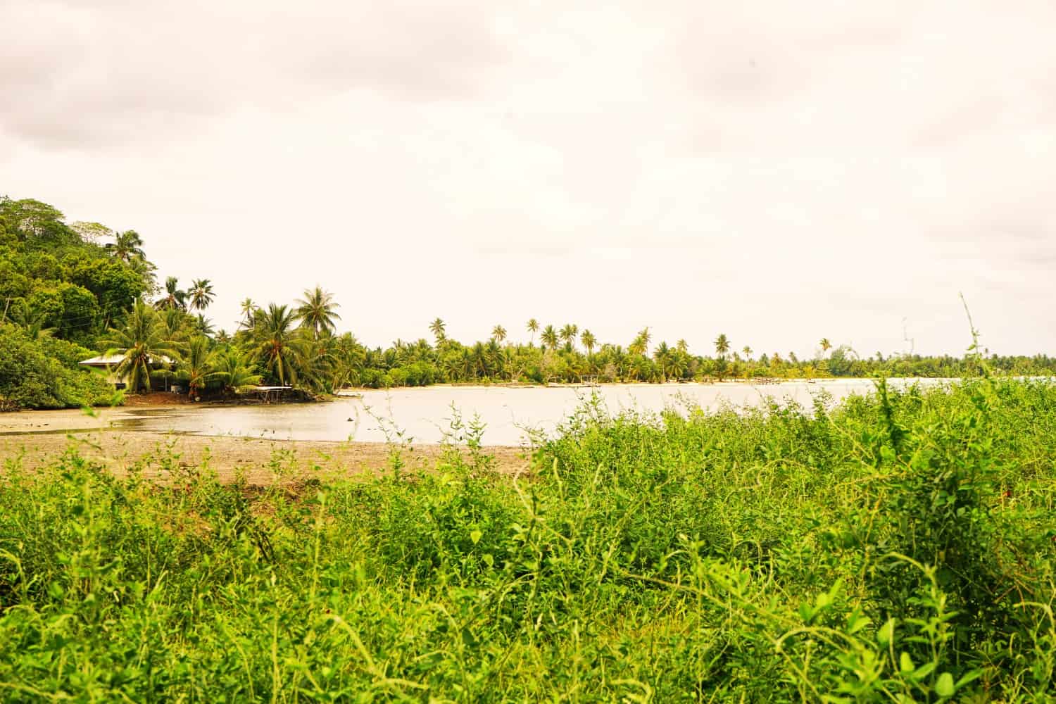 Beach on Maupiti, in French Polynesia